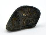 0.81g AGUAS ZARCAS Oriented Meteorite I Carbonaceous Chondrite CM2