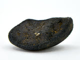 0.81g AGUAS ZARCAS Oriented Meteorite I Carbonaceous Chondrite CM2