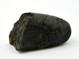 1.17g AGUAS ZARCAS Meteorite I Carbonaceous Chondrite CM2