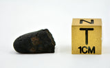 1.17g AGUAS ZARCAS Meteorite I Carbonaceous Chondrite CM2