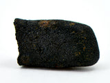 1.17g AGUAS ZARCAS Meteorite I Carbonaceous Chondrite CM2