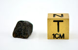 1.17g AGUAS ZARCAS Meteorite I Carbonaceous Chondrite CM2
