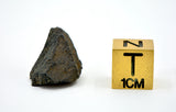 2.81g AGUAS ZARCAS Meteorite fragment I Carbonaceous Chondrite CM2