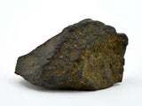 2.81g AGUAS ZARCAS Meteorite fragment I Carbonaceous Chondrite CM2