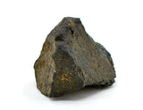 2.81g AGUAS ZARCAS Meteorite fragment I Carbonaceous Chondrite CM2