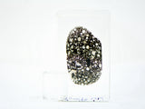 Allende Meteorite Thin Section I CV3 Carbonaceous Chondrite