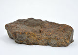41.09g Acapulcoite Primitive Achondrite Meteorite  I NWA 17906