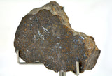 41.09g Acapulcoite Primitive Achondrite Meteorite  I NWA 17906