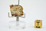 1.99g Al Bir Lahlou 001 I Ungrouped Achondrite Meteorite Slice
