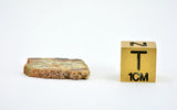 1.99g Al Bir Lahlou 001 I Ungrouped Achondrite Meteorite Slice