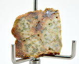 1.99g Al Bir Lahlou 001 I Ungrouped Achondrite Meteorite Slice