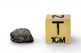 0.39g Carbonaceous Chondrite C3-ung I NWA 12416