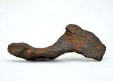 11.95 gram CANYON DIABLO meteorite - IAB Iron Meteorite