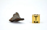 11.95 gram CANYON DIABLO meteorite - IAB Iron Meteorite