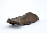 11.95 gram CANYON DIABLO meteorite - IAB Iron Meteorite