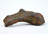 12.44 gram CANYON DIABLO meteorite - IAB Iron Meteorite