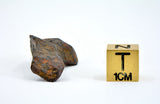 12.44 gram CANYON DIABLO meteorite - IAB Iron Meteorite