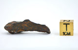 12.44 gram CANYON DIABLO meteorite - IAB Iron Meteorite