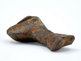 12.44 gram CANYON DIABLO meteorite - IAB Iron Meteorite