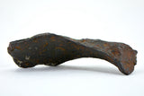 13.23 gram CANYON DIABLO meteorite - IAB Iron Meteorite