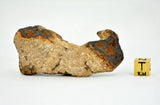 131.34 gram CANYON DIABLO meteorite - IAB Iron Meteorite