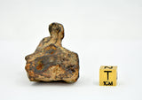 131.34 gram CANYON DIABLO meteorite - IAB Iron Meteorite