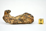 131.34 gram CANYON DIABLO meteorite - IAB Iron Meteorite