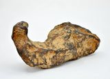 131.34 gram CANYON DIABLO meteorite - IAB Iron Meteorite