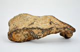 131.34 gram CANYON DIABLO meteorite - IAB Iron Meteorite