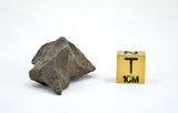 27.47 gram CANYON DIABLO meteorite - IAB Iron Meteorite