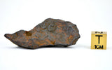 27.47 gram CANYON DIABLO meteorite - IAB Iron Meteorite