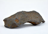27.47 gram CANYON DIABLO meteorite - IAB Iron Meteorite