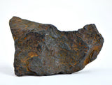 34.07 gram CANYON DIABLO meteorite - IAB Iron Meteorite
