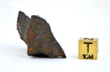 34.07 gram CANYON DIABLO meteorite - IAB Iron Meteorite