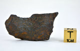 34.07 gram CANYON DIABLO meteorite - IAB Iron Meteorite