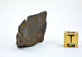 34.07 gram CANYON DIABLO meteorite - IAB Iron Meteorite