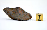 34.09 gram CANYON DIABLO meteorite - IAB Iron Meteorite