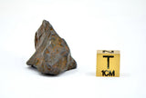 34.09 gram CANYON DIABLO meteorite - IAB Iron Meteorite