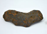 55.2 gram CANYON DIABLO meteorite - IAB Iron Meteorite