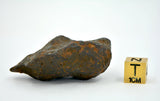 78.5 gram CANYON DIABLO meteorite - IAB Iron Meteorite