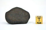 27.95g CHERGACH Oriented Meteorite I Witnessed Fall