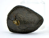 3.16g CHERGACH Crusted Oriented Meteorite I Witnessed Fall