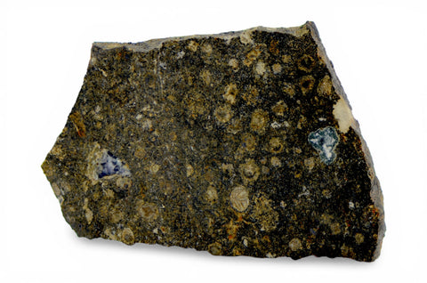 1.59g CK3 Carbonaceous Chondrite Meteorite slice I NWA 1559