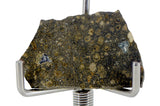 1.59g CK3 Carbonaceous Chondrite Meteorite slice I NWA 1559
