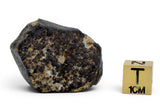 22.29g Unclassified NWA Ordinary Chondrite Meteorite