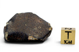 22.29g Unclassified NWA Ordinary Chondrite Meteorite