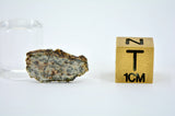 0.54g Erg Chech 002 Ungrouped Achondrite Meteorite