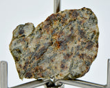 1.17g Erg Chech 002 Ungrouped Achondrite Meteorite