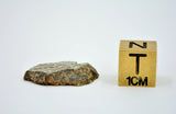 1.62g Erg Chech 002 Ungrouped Achondrite Meteorite