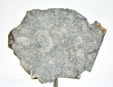 36.26g Eucrite Breccia Slice I HED Northeast Africa 110